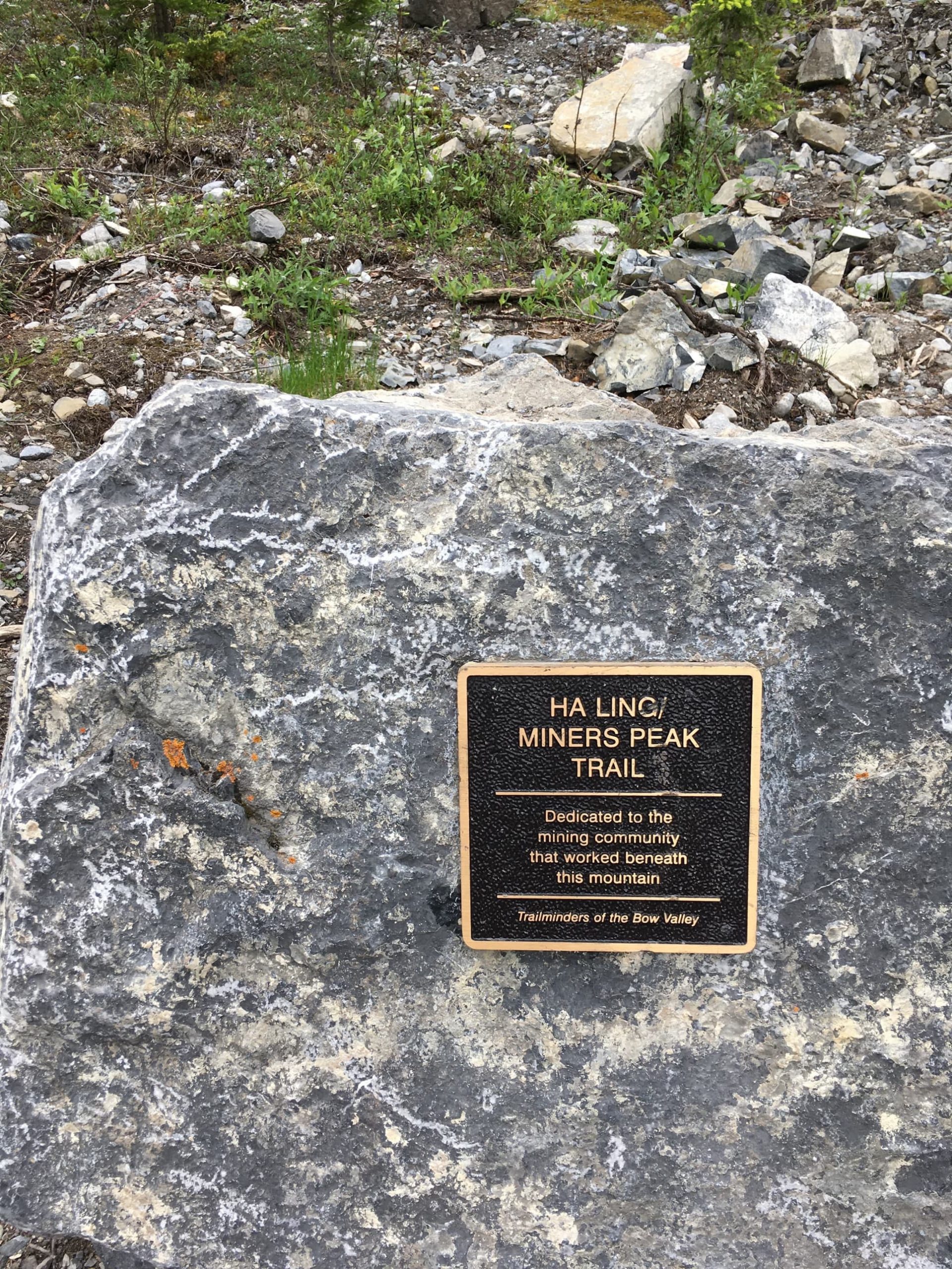 img_0092-compressed-1